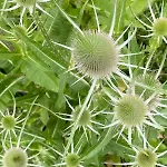 Bellevie Apartment, Eijsden-maastricht *