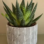 Bellevie Apartment, Eijsden-maastricht *