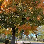 Bellevie Apartment, Eijsden-maastricht *