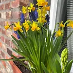 Bellevie Apartment, Eijsden-maastricht Apartmán