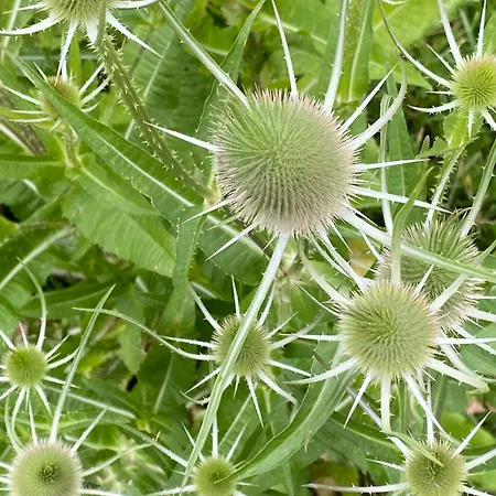 Bellevie Apartment, Eijsden-maastricht *