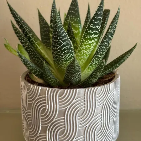 Bellevie Apartment, Eijsden-maastricht *