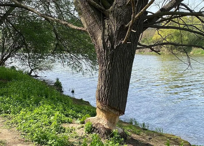 Bellevie Apartment, Eijsden-maastricht * Eijsden