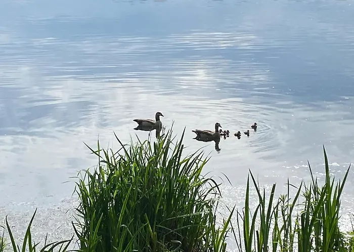 Bellevie Apartment, Eijsden-maastricht * Eijsden