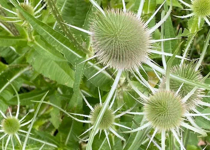 Bellevie Apartment, Eijsden-maastricht *