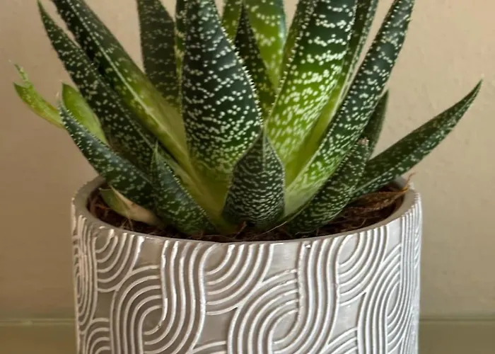 Bellevie Apartment, Eijsden-maastricht *