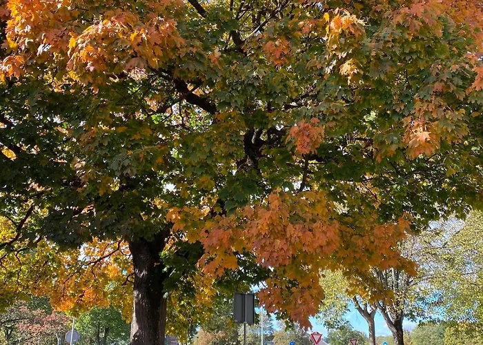 Bellevie Apartment, Eijsden-maastricht *