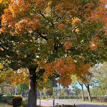 Bellevie Apartment, Eijsden-maastricht *