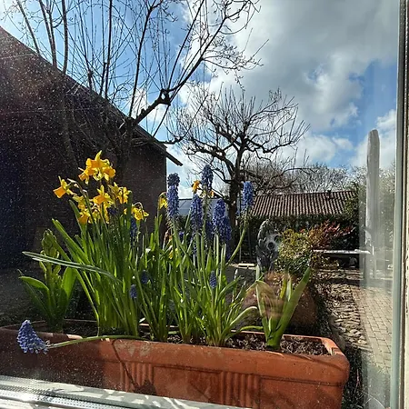 Bellevie Apartment, Eijsden-maastricht דירה אייסדן